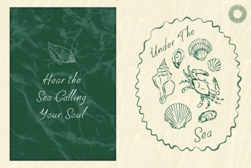 coastal handwritten unique script font
