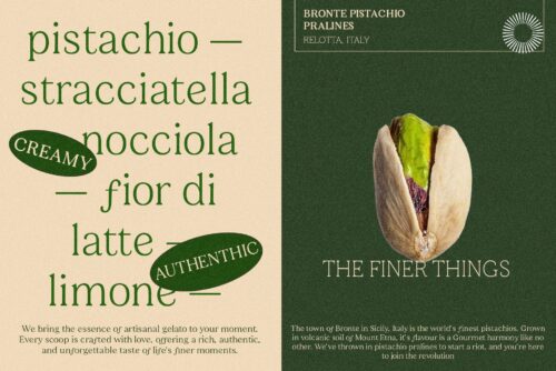 Editorial Family Typeface