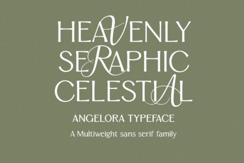 multiweight sans serif font