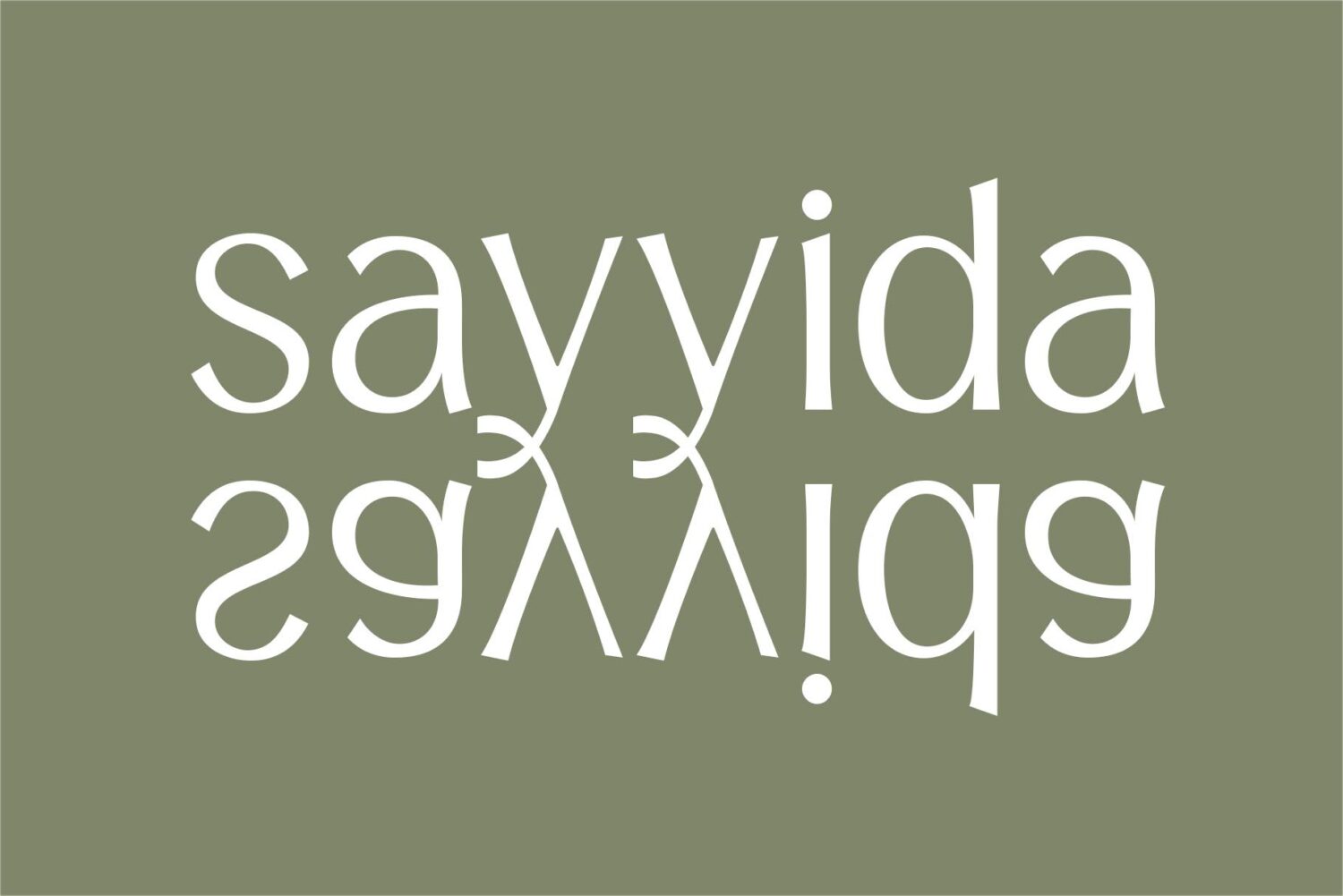 multiweight sans serif font