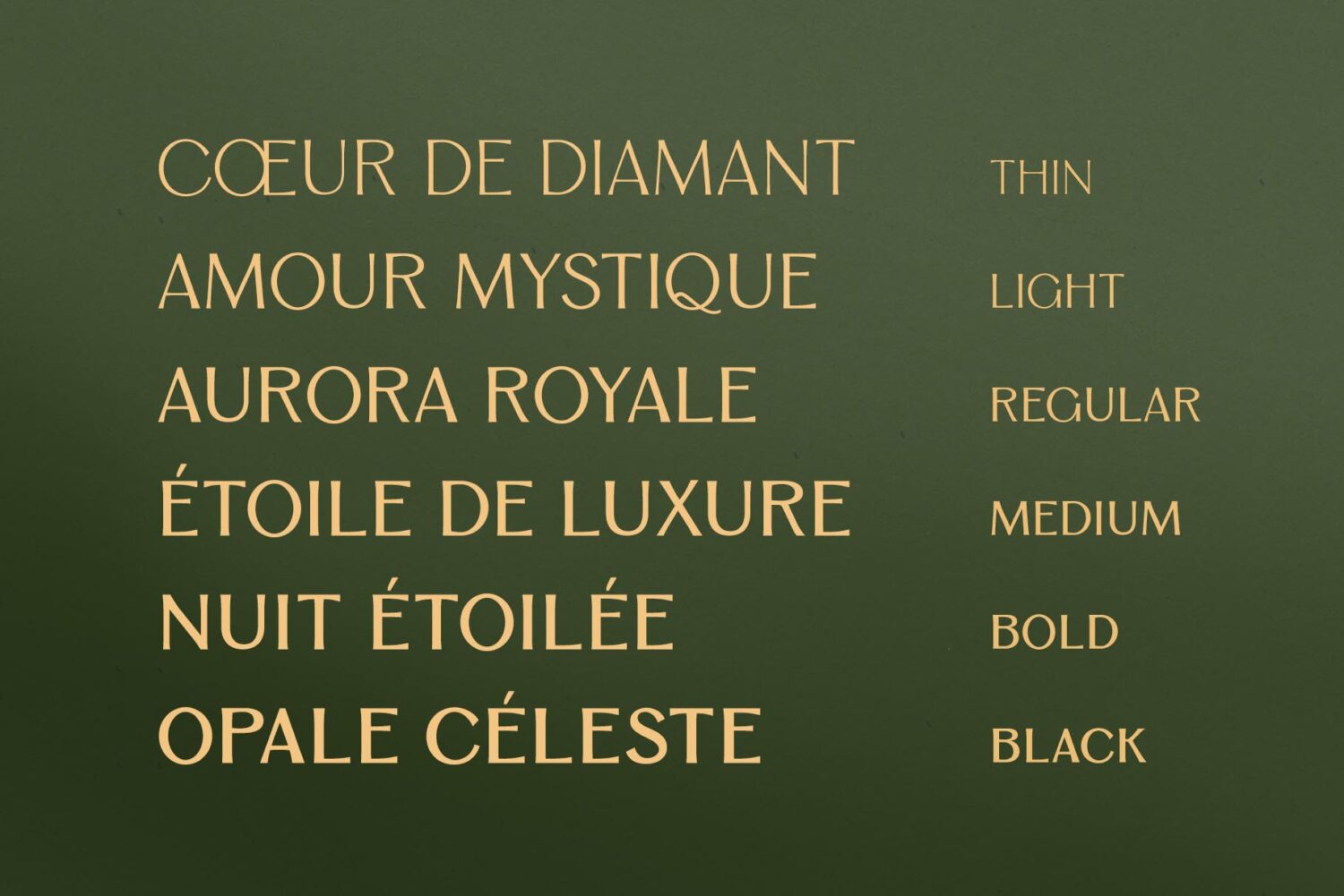 multiweight sans serif font