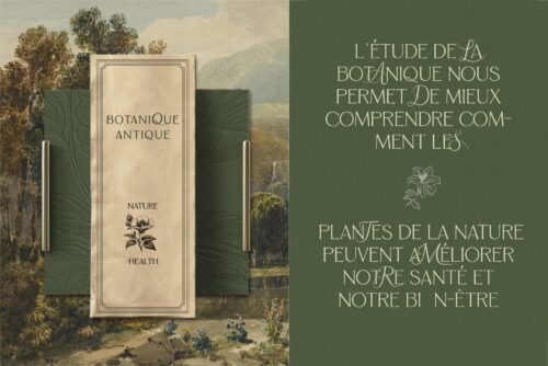 multiweight sans serif font