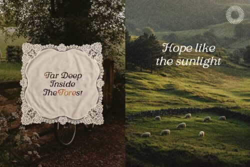 Vintage Font Duo