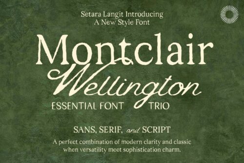 sans serif script trio font