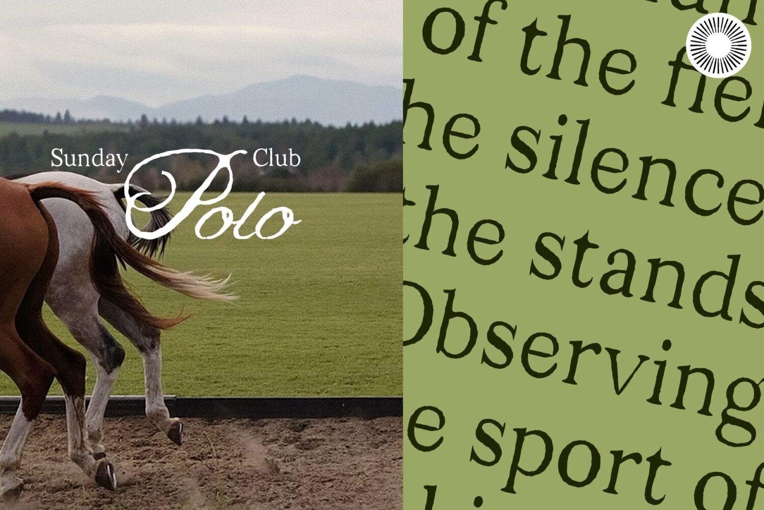 sans serif script trio font