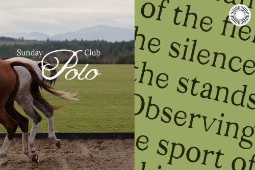 sans serif script trio font