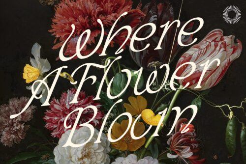 Ethereal Serif