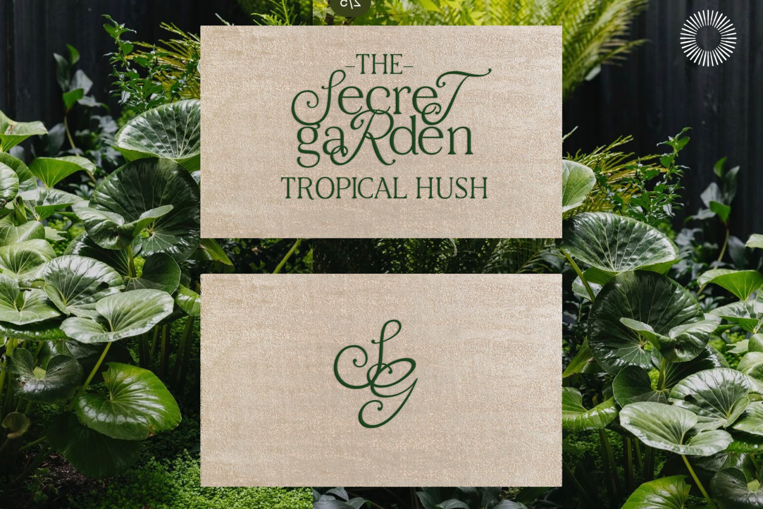 Aether-multi-style-serif