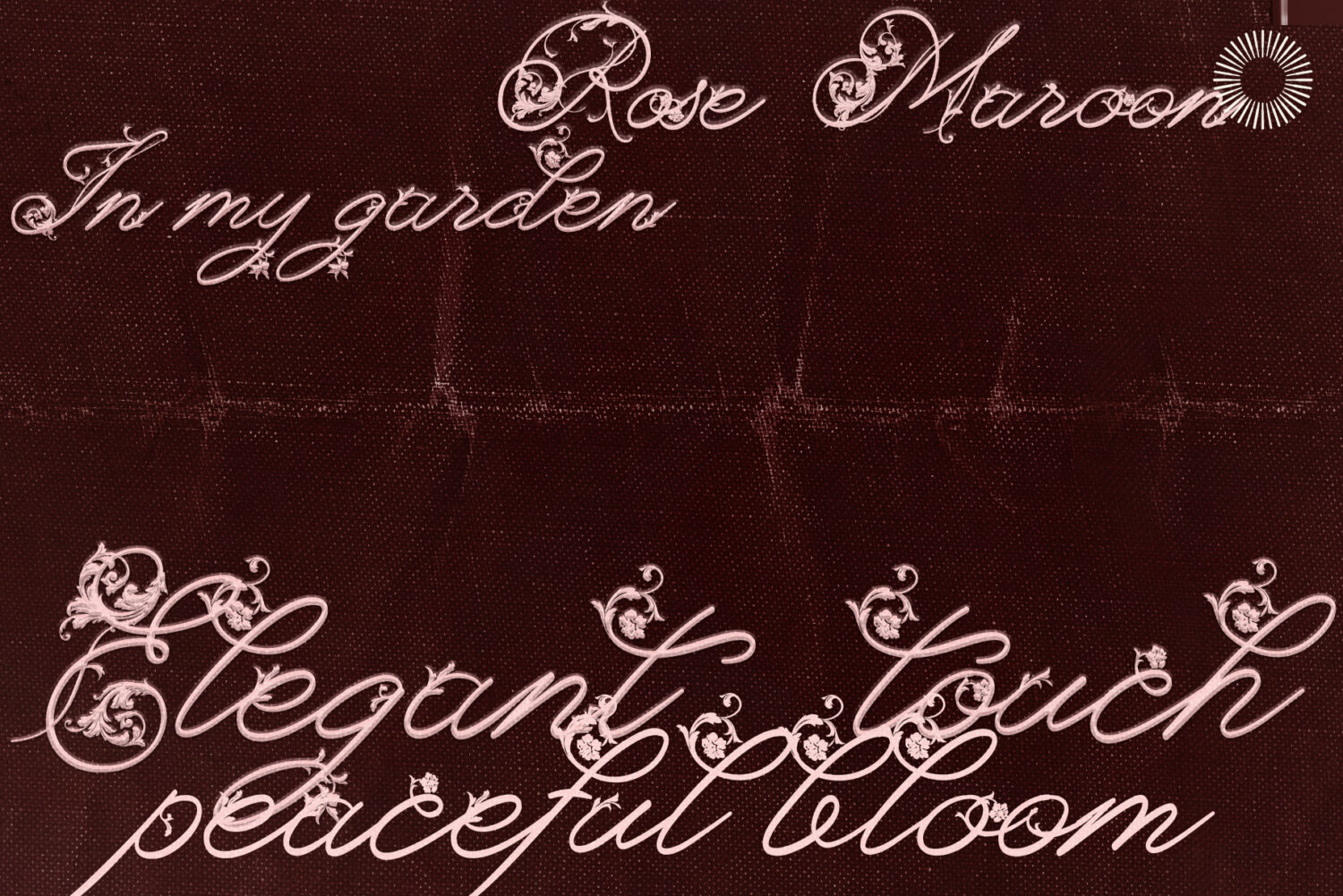 Orchid bloom - Floral decorative script