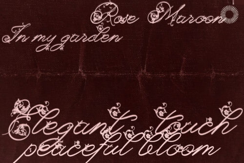 Orchid bloom - Floral decorative script