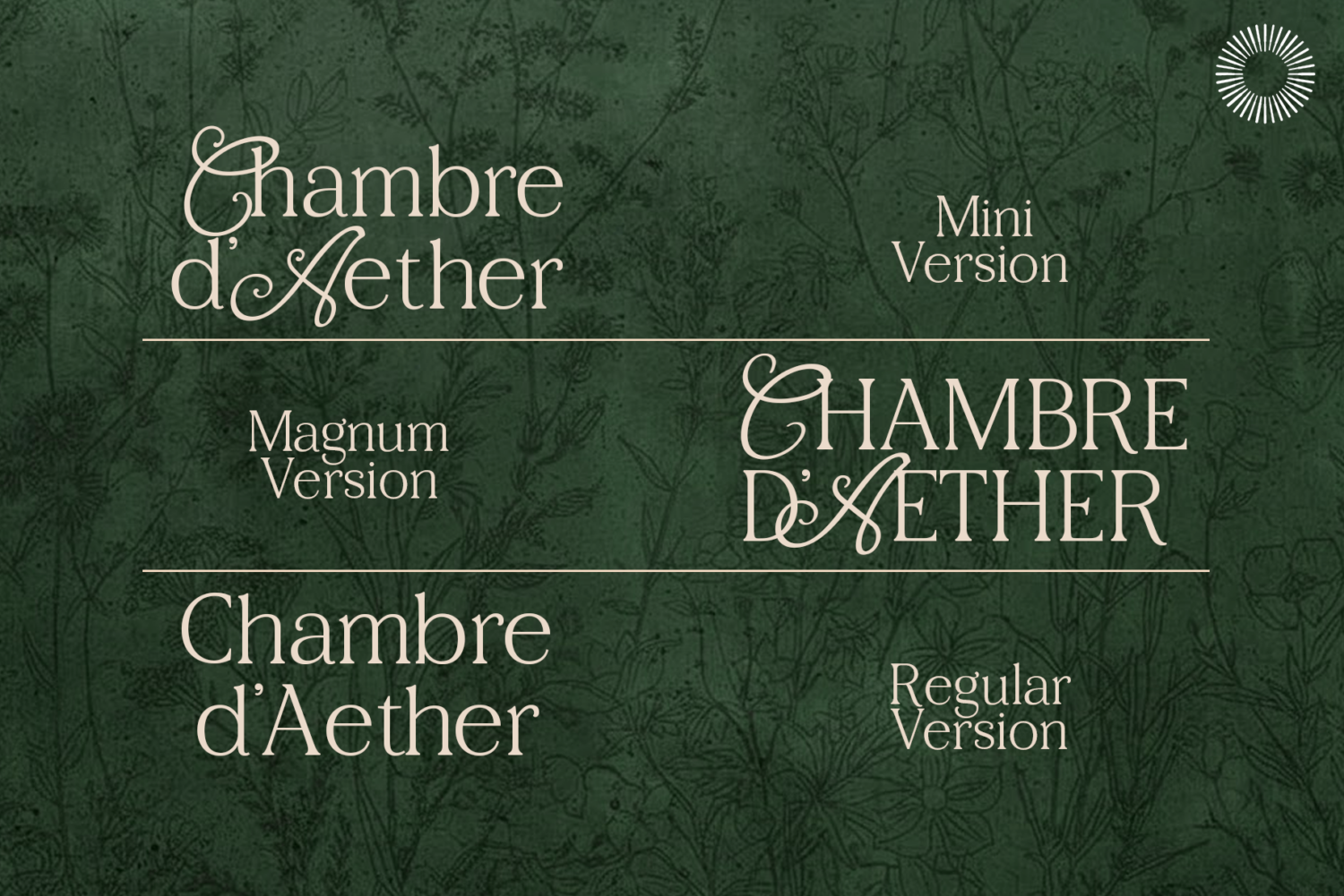 Aether-multi-style-serif