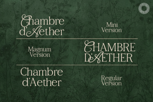 Aether-multi-style-serif