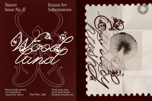 Orchid bloom - Floral decorative script