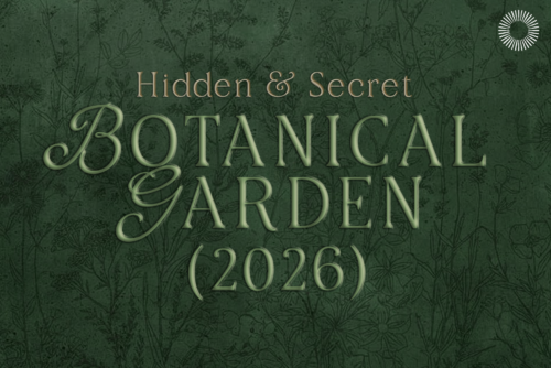 Aether-multi-style-serif