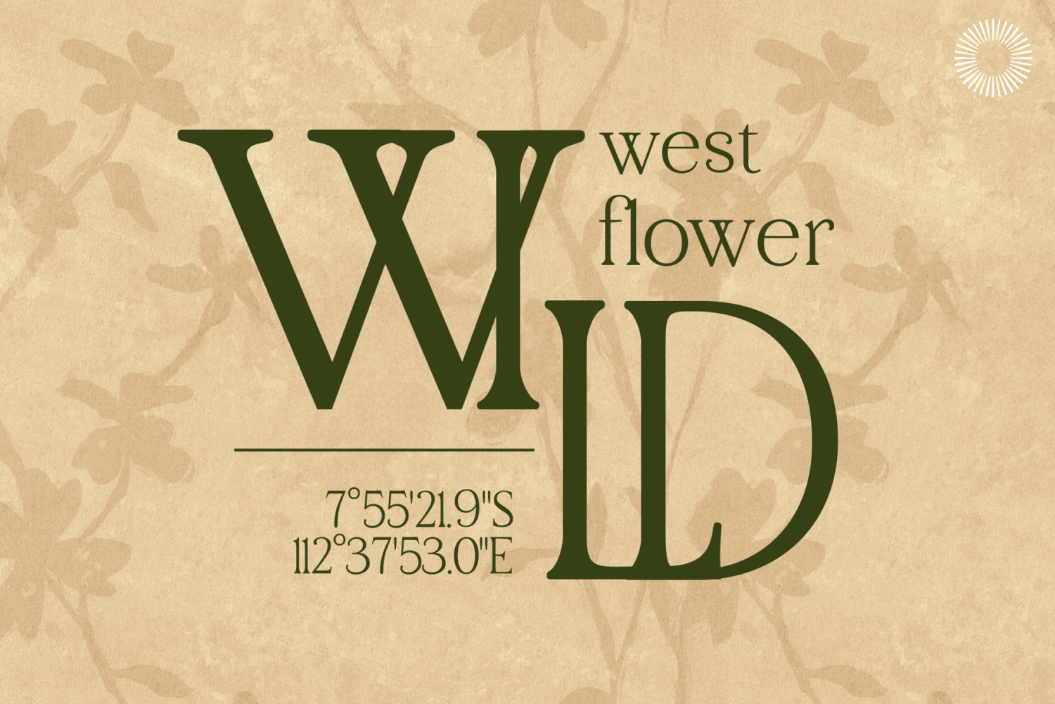 Aether-multi-style-serif