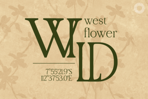 Aether-multi-style-serif