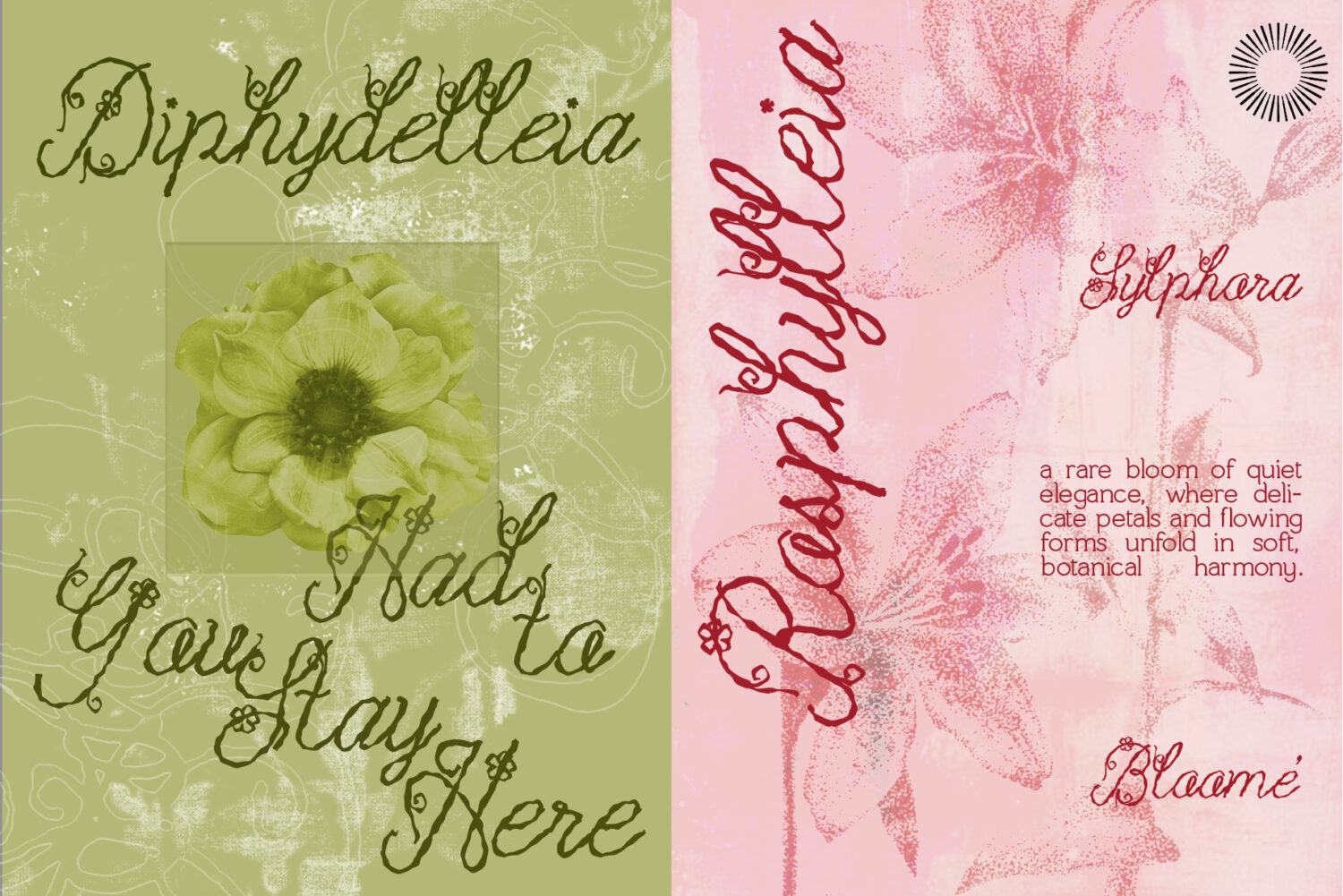 Blossom-Reverie-Romantic-Floral-Script