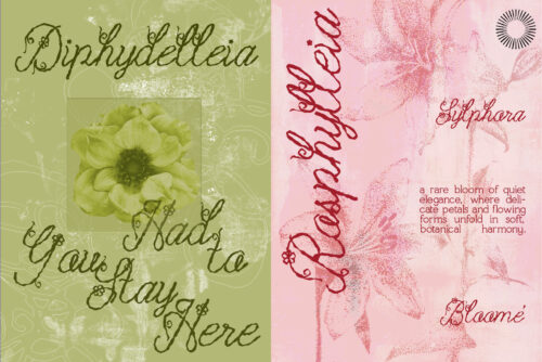 Blossom-Reverie-Romantic-Floral-Script