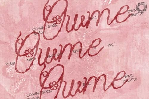 Blossom-Reverie-Romantic-Floral-Script