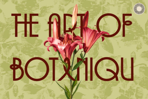 The-Seranova-Contemporary-Artdeco-Sans-Serif