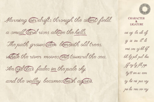 Lovely-Belle-Ribbon-Script