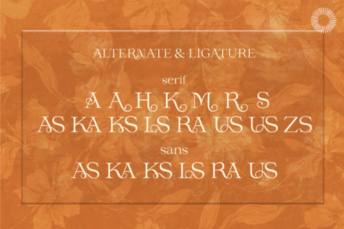 Prana-Elegance-of-Vintage-Sans-&-Serif