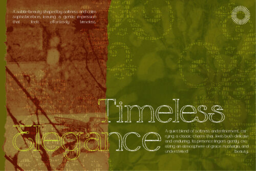 Earthlines-Organic-Serif-&-Sans